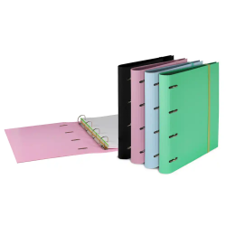 Carpeta con recambio pardo...