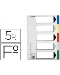 SEPARADOR ESSELTE PLASTICO...