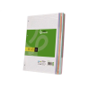 Recambio liderpapel a4 120 hojas 90gr cuadro 5 mm 4 taladros bandas de 5 colores pasteles