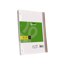 Recambio liderpapel a4 120 hojas 90gr cuadro 5 mm 4 taladros bandas de 5 colores pasteles