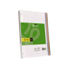 Recambio liderpapel a4 120 hojas 90gr cuadro 5 mm 4 taladros bandas de 5 colores pasteles