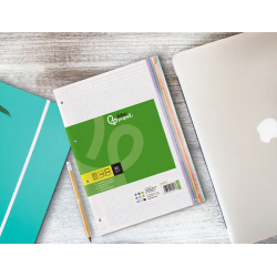 Recambio liderpapel a4 120 hojas 90gr cuadro 5 mm 4 taladros bandas de 5 colores pasteles