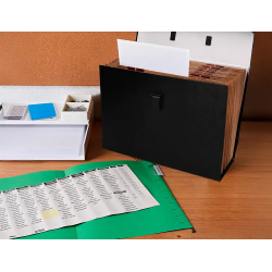 Maletin liderpapel con fuelle y asa carton forrado 19 departamentos 255x390x120 mm color negro