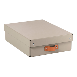 Caja de almacenaje leitz...