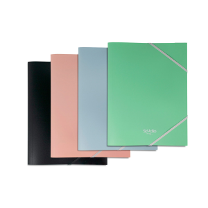 Carpeta pardo studio style...