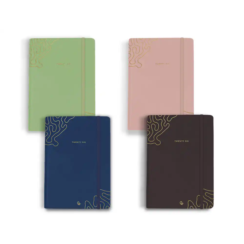 Agenda encuadernada liderpapel 2026 efira expositor 8 unidades surtidas