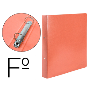 Carpeta de 2 anillas 25mm...