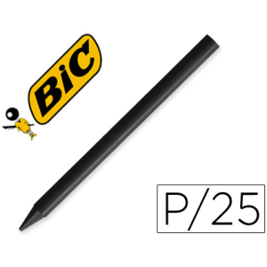 Lapices plastidecor...