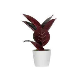 Planta artificial paperflow ficus elastica 36 cm