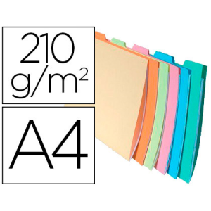 Subcarpeta cartulina...