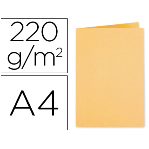 Subcarpeta cartulina...