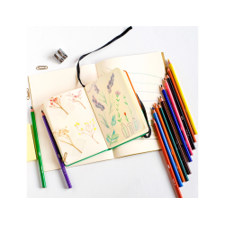 Lapices de colores intensity caja de 12 unidades colores surtidos