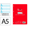 Recambio liderpapel cuarto pautaguia 100 hojas 75gr cuadriculado pautado 5 mm con margen 6 taladros