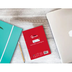 Recambio liderpapel cuarto pautaguia 100 hojas 75gr cuadriculado pautado 5 mm con margen 6 taladros