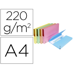 Subcarpeta cartulina...