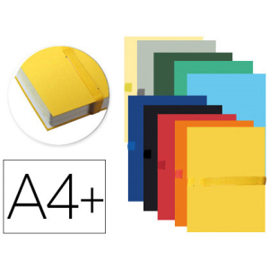 Carpeta de proyecto...