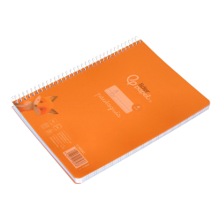 Cuaderno espiral liderpapel a5 pautaguia tapa plastico 80h 90gr cuadro pautado 4mm color naranja