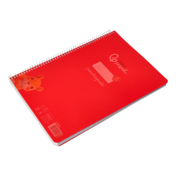 Cuaderno espiral liderpapel a4 pautaguia tapa plastico 80h 90gr cuadro pautado 4mm con margen color rojo