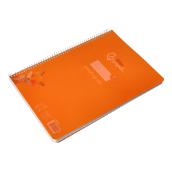 Cuaderno espiral liderpapel a4 pautaguia tapa plastico 80h 90gr cuadro pautado 4mm con margen color naranja