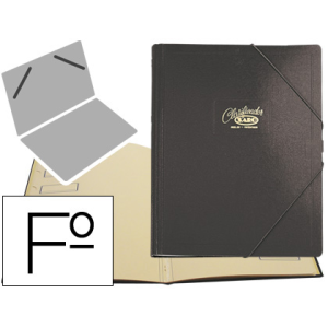 Carpeta clasificador carton...