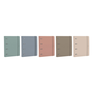 Carpeta anillas oxford...