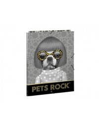 CARPETA CARTON FOLIO GOMAS...