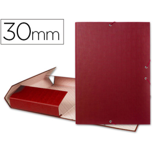 Carpeta proyectos...