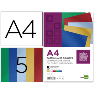 Cartulina liderpapel a4 235...