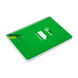 Cuaderno espiral liderpapel a5 pautaguia tapa dura 80h 90gr cuadro pautado 4mm color verde