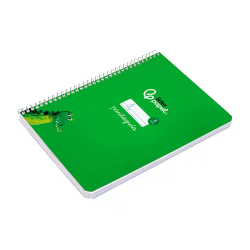 Cuaderno espiral liderpapel a5 pautaguia tapa dura 80h 90 gr cuadro pautado 5mm color verde