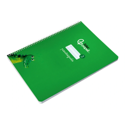 Cuaderno espiral liderpapel a4 pautaguia tapa blanda 80h 75gr cuadro pautado 3mm color verde