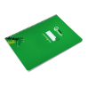 Cuaderno espiral liderpapel a4 pautaguia tapa blanda 80h 75gr cuadro pautado 3mm color verde