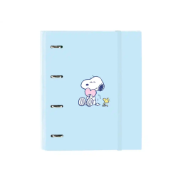 Carpeta con recambio safta...