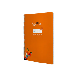 Cuaderno espiral liderpapel a4 pautaguia tapa blanda 80h 75gr cuadro pautado 5mm color naranja