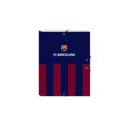 Carpeta clasificadora safta...