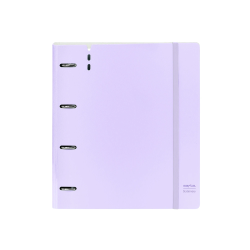 Carpeta con recambio safta...