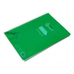 Cuaderno espiral liderpapel a4 pautaguia tapa plastico 80h 90gr cuadro pautado 3mm con margen color verde