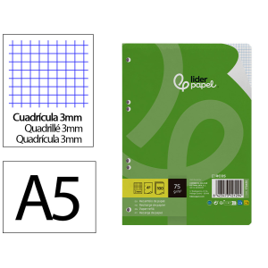 Recambio liderpapel a5 100...