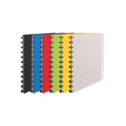 Carpeta esselte vivida...