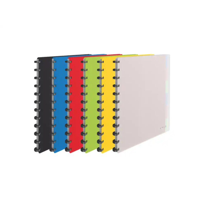 Carpeta esselte vivida escaparate din a4 tapa rigida 25 fundas extraibles polipropileno colores