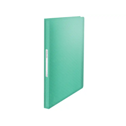 Carpeta esselte colour...