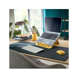 Raton leitz cosy inalambrico dual 4000 dpi usb-a nano 2,4 ghz color gris