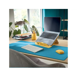 Raton leitz cosy inalambrico dual 4000 dpi usb-a nano 2,4 ghz color azul