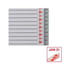 Separador numerico esselte plastico 1-31 juego de 31 separadores din a4 multitaladro color gris