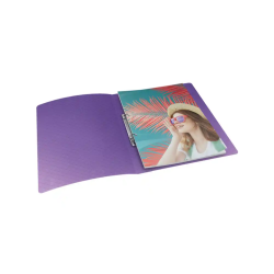 Carpeta esselte colour breeze 2 anillas redondas 25 mm din a4 polipropileno colores surtidos
