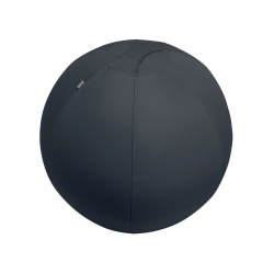 Balon de asiento leitz...