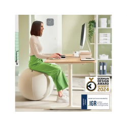 Balon de asiento leitz active 65 cm antideslizante color gris