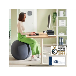 Balon de asiento leitz active 55 cm antideslizante color gris oscuro