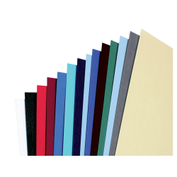 Tapa de encuadernacion gbc din a4 antelope simil piel 250 gr color blanco caja de 100 unidades