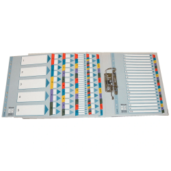 Separador numerico esselte cartulina 1-31 juego de 31 separadores din a4 multitaladro